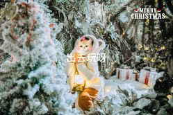 点击看大图 -七色田儿童摄影(静安店)