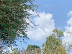 -成都南湖公园