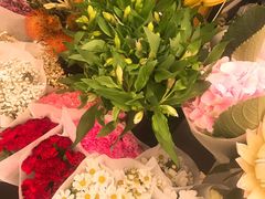-绿叶子(春秀路店)