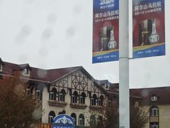 -粘豆包铁锅炖二部(温泉街店)
