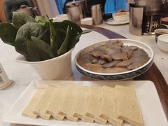 -友谊肥牛