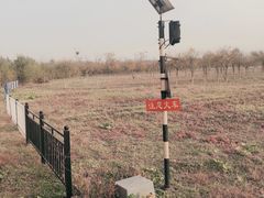 -西青郊野公园