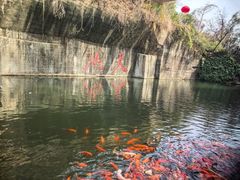 -千岛湖东南湖区