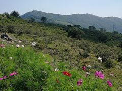 -阳台山自然风景区