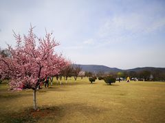 -钟山体育运动公园