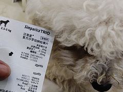 -千城康桥宠物医院·猫科·骨科·心脏