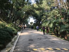 -蜀冈西峰生态公园