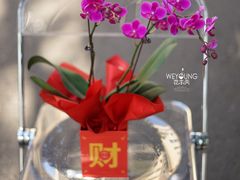 -花未央花店·WEYOUNG