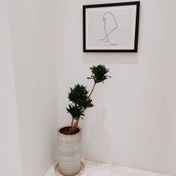 -微笑雨嘉造型护肤