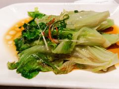 -采蝶轩