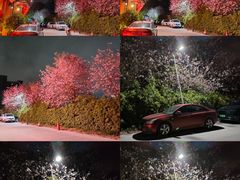 -广东花都湖国家湿地公园