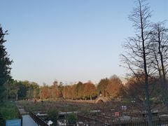 -五缘湾湿地公园
