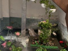 -韵道养生.足道.按摩.SPA(古美店)