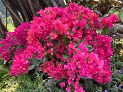 -人民公园(罗湖区)