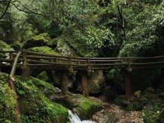 -青城山
