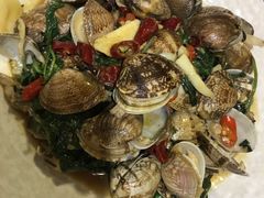 九层塔炒花蛤-乡亲鹅肉城(昆山店)