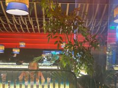 -芸山季·云南山珍菌火锅(人民广场来福士店)