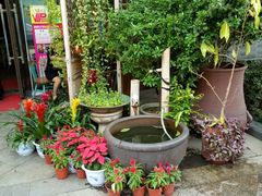 门面-吴越荣记·苏州菜·松鼠桂鱼(斜塘老街店)