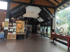 -老房子金沙元年川菜食府·花园餐厅(金沙店)