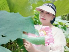 -陈家山荷花公园