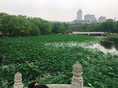 -长春市南湖公园