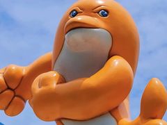 -重庆海昌加勒比海水世界