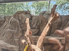 -青藏高原野生动物园
