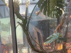 -肴约·花园式餐厅(湖里店)