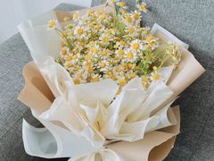 -双季花艺园艺市场(浦东店)