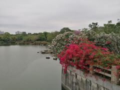 -海珠湖公园