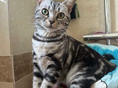 -佑安动物医院·全科·内窥镜中心(幸福巷店)