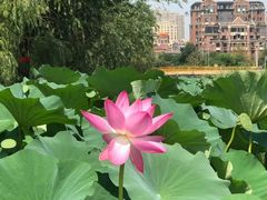 -前关湿地公园