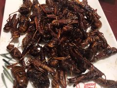 -向民炒鸡老店(火车站店)