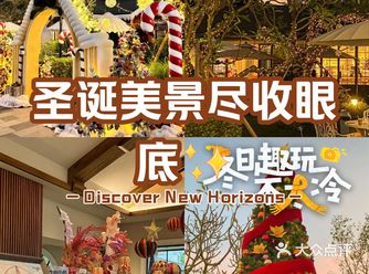 这里的圣诞氛围太吸引人了