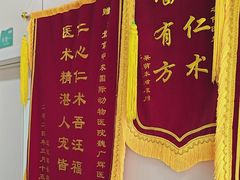 -中农国际动物医院24小时·猫科·骨科·急重症中心