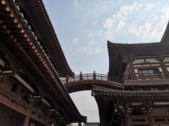 -西安青龙寺遗址景区