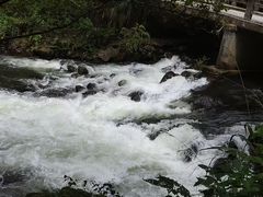 -五龙源极限漂流