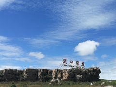 -空中草原