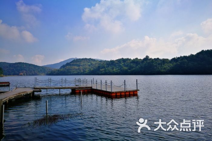 无想寺森林公园-图片-溧水区周边游-大众点评网