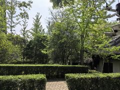 -上海佘山国家森林公园天马山园