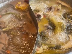 -手选潮汕鲜活牛肉火锅(二七广场店)