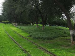 -永定河休闲森林公园