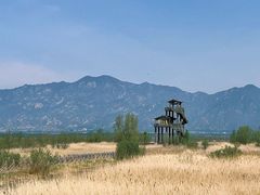 -野鸭湖国家湿地公园