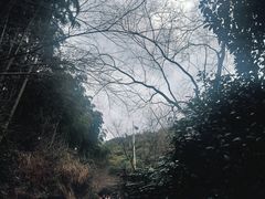 -径山寺