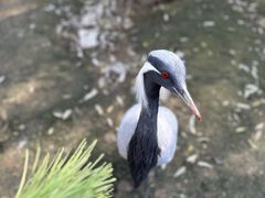 -长春净月潭风景名胜区