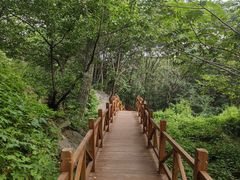 -大岭沟猕猴桃谷风景区