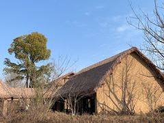 -良渚古城遗址公园