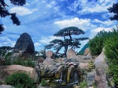 -罗红摄影艺术馆