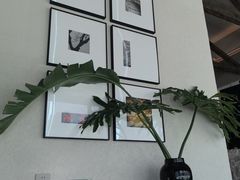 -不念·福建码头(宝龙一城店)