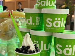 -Salud撒露欧洲冻酸奶(五道口购物中心店)
